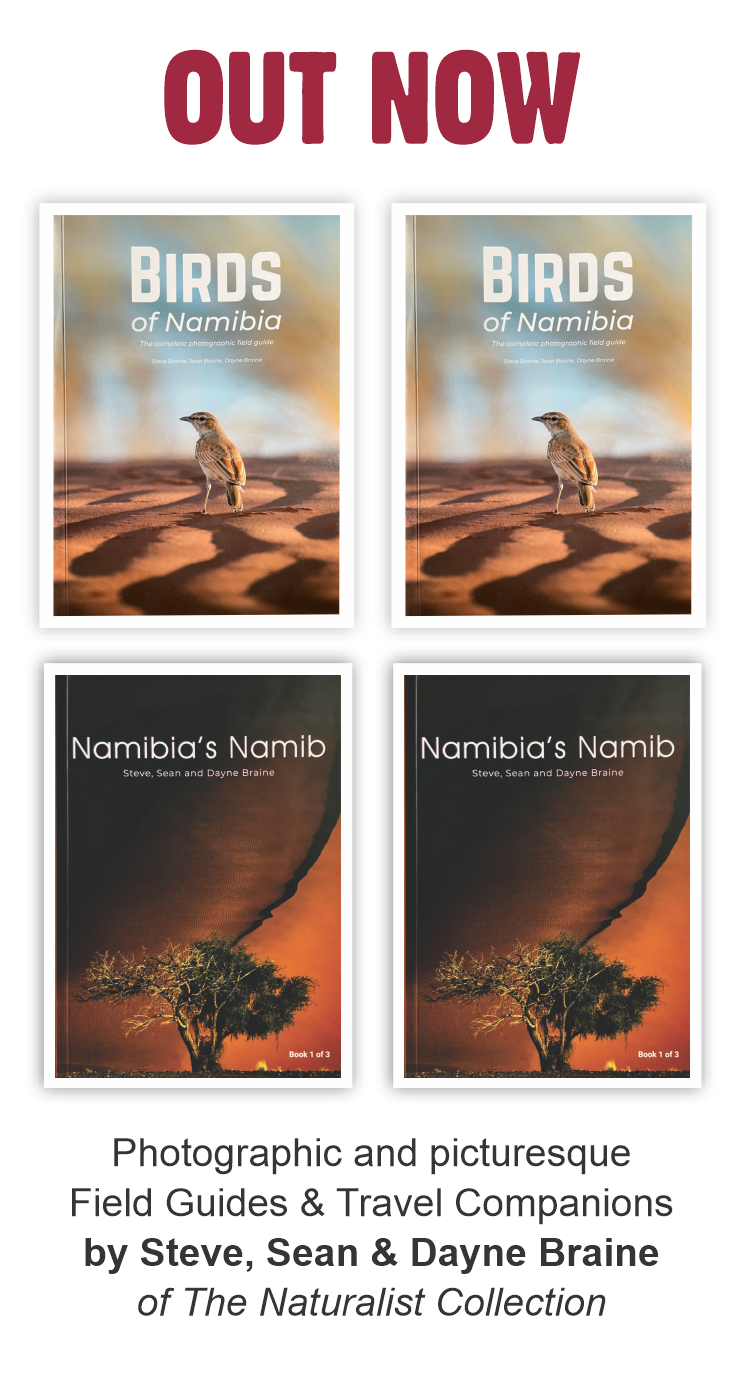 Book 1: Namibia's Namib