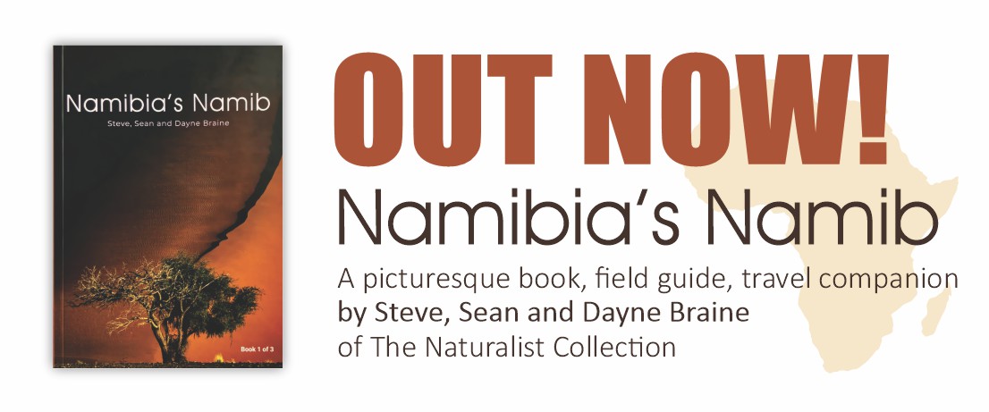Book: Namibia's Namib