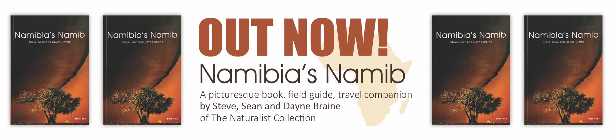 Book: Namibia's Namib