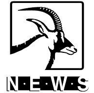 news-namibia